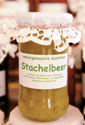sternenbecker logo